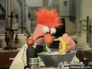 Gif from Muppets of Beaker and Dr Bunsen Honeydew